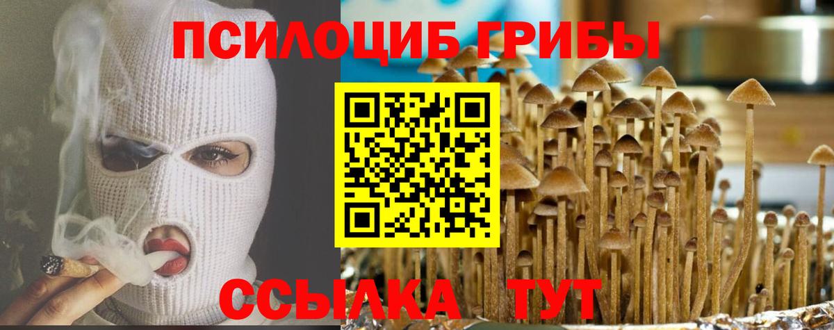Псилоцибиновые грибы GOLDEN TEACHER  Вход с VPN  Набережные Челны  Галлюциногенные грибы GOLDEN TEACHER 