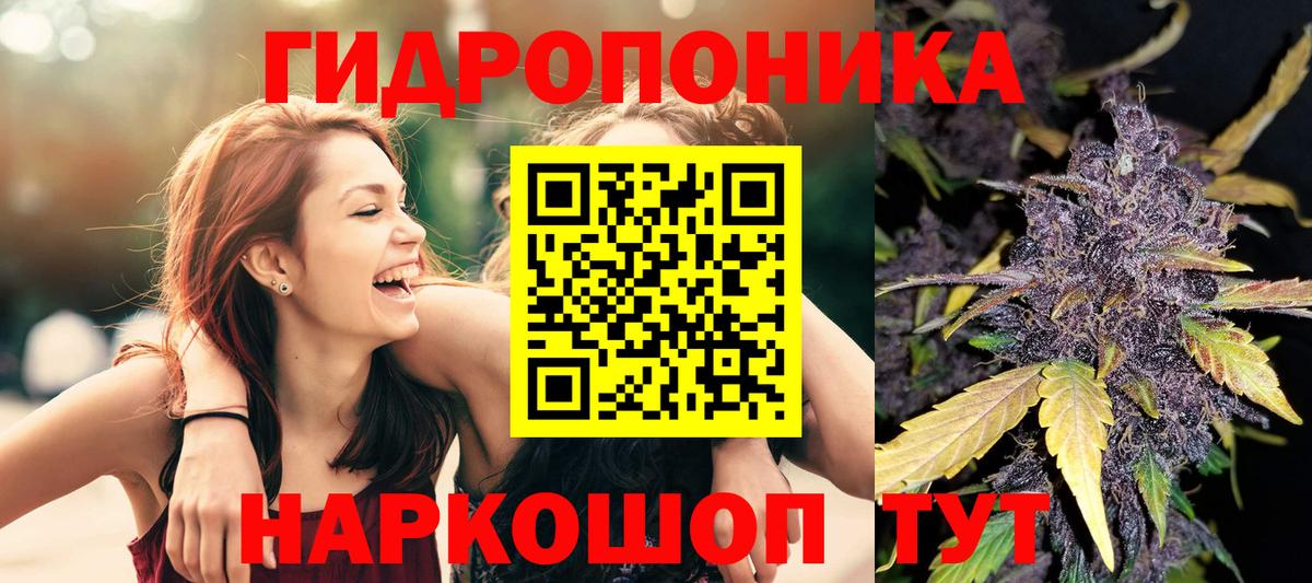 Бошки Шишки план Набережные Челны